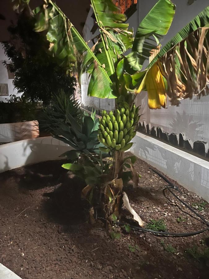 Estudio Costa Del Silencio Chayofita Arona  Εξωτερικό φωτογραφία
